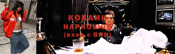 МДПВ Богородск
