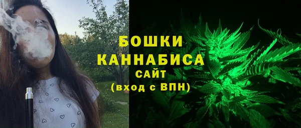МДПВ Богородск