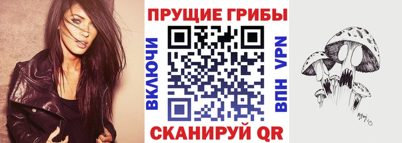 Псилоцибиновые грибы Cubensis  Мегион 